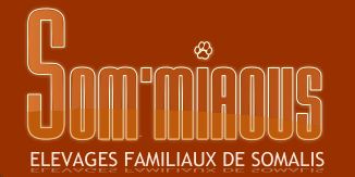 Som-Miaous
