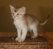 Charlie, 1 mois et demi
