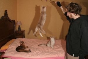 Quel saut !