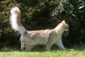 Chabichou, 7 mois