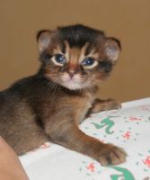 Doudou, 2 semaines