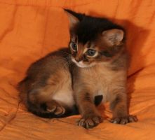 Doudou, 1 mois