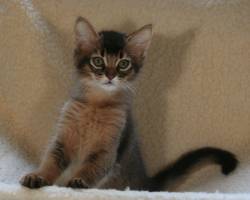 Doudou, 2 mois