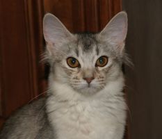 Duibi vous regarde bien en face