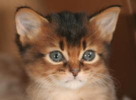 Elfie, un mois