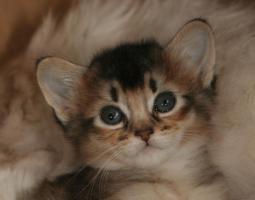 ENS, un mois