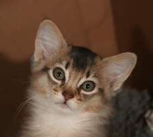 ENS vous regarde