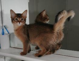 Elfie, 3 mois