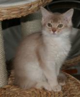 Edelweiss, bientot 3 mois