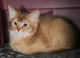 Guinness, 3 mois