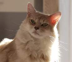 Turron, 9 ans