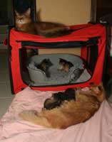 Toute la famille