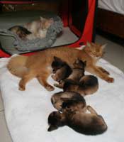 tous et 2 mamans