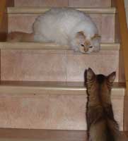 rencontre