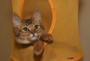 Jemima, 4 mois