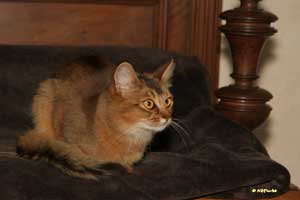 Jemima, un an