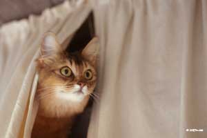 Jemima, bientôt 2 ans