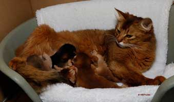 famille, 10 jours