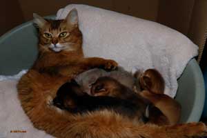 toute la famille à 2 semaines