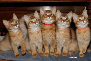 group