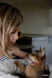 2 mois