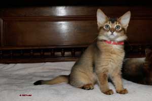 2 mois