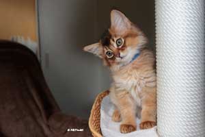 2 mois