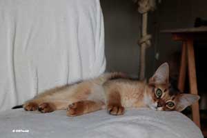 3 months old