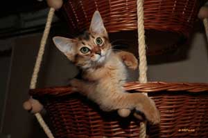3 months old