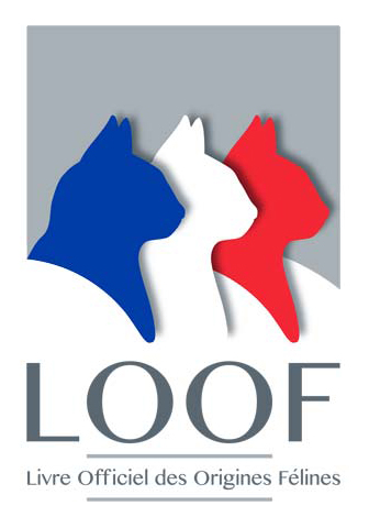 LOOF