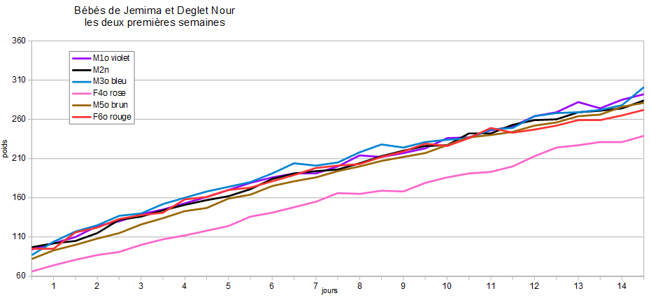 weight diagram weeks 1 and 2