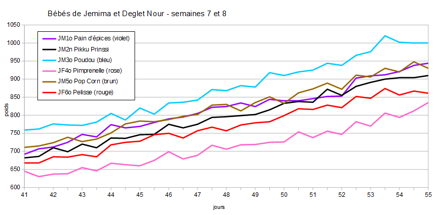 weight diagram weeks 7 and 8