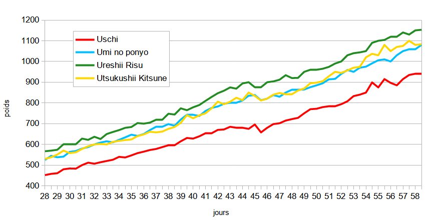 courbe de poids S5 &agrave; 8